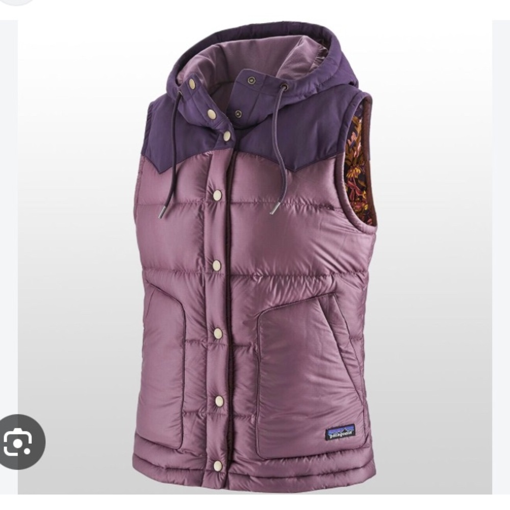 Patagonia Two-Tone Purple Hooded Bivy Vest
